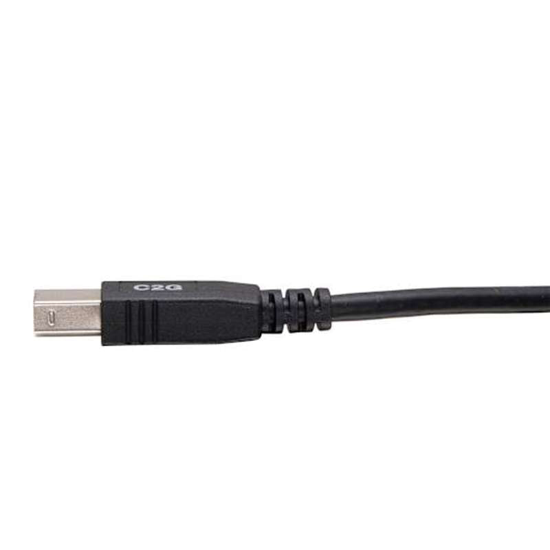 Cables To Go 6ft (1.8m) TAA-Compliant USB 2.0 A/B Cable