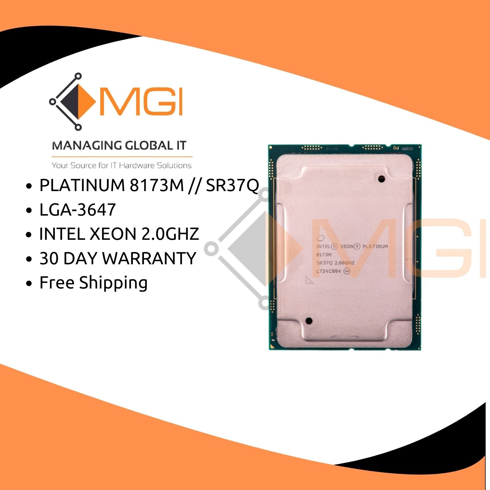 PLATINUM 8173M // SR37Q