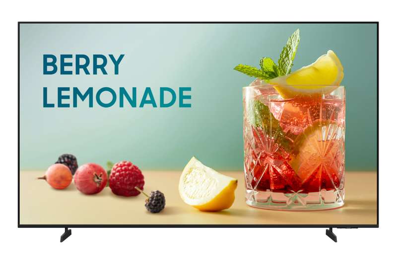 Samsung 55" BEFX-H Series Business Pro TV