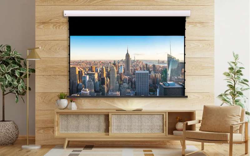 Screen Innovations Short Throw Motorized External Mount Screen, 58.8'' x 104.6'' with Short Throw Material