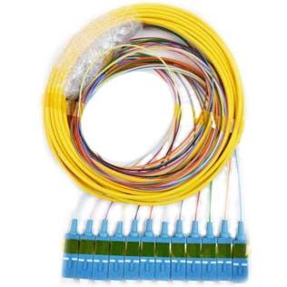 Ribbon Fanout Pigtail Kit, 12 Fiber, Singlemode 9/125, SC/UPC, 3 Meter