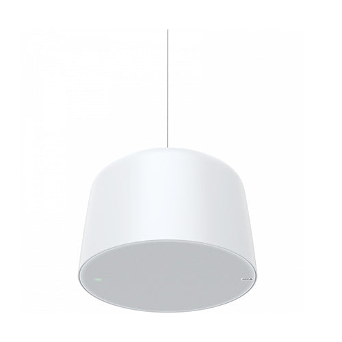 AXIS C1510 Network Pendant Speaker (02389-001)