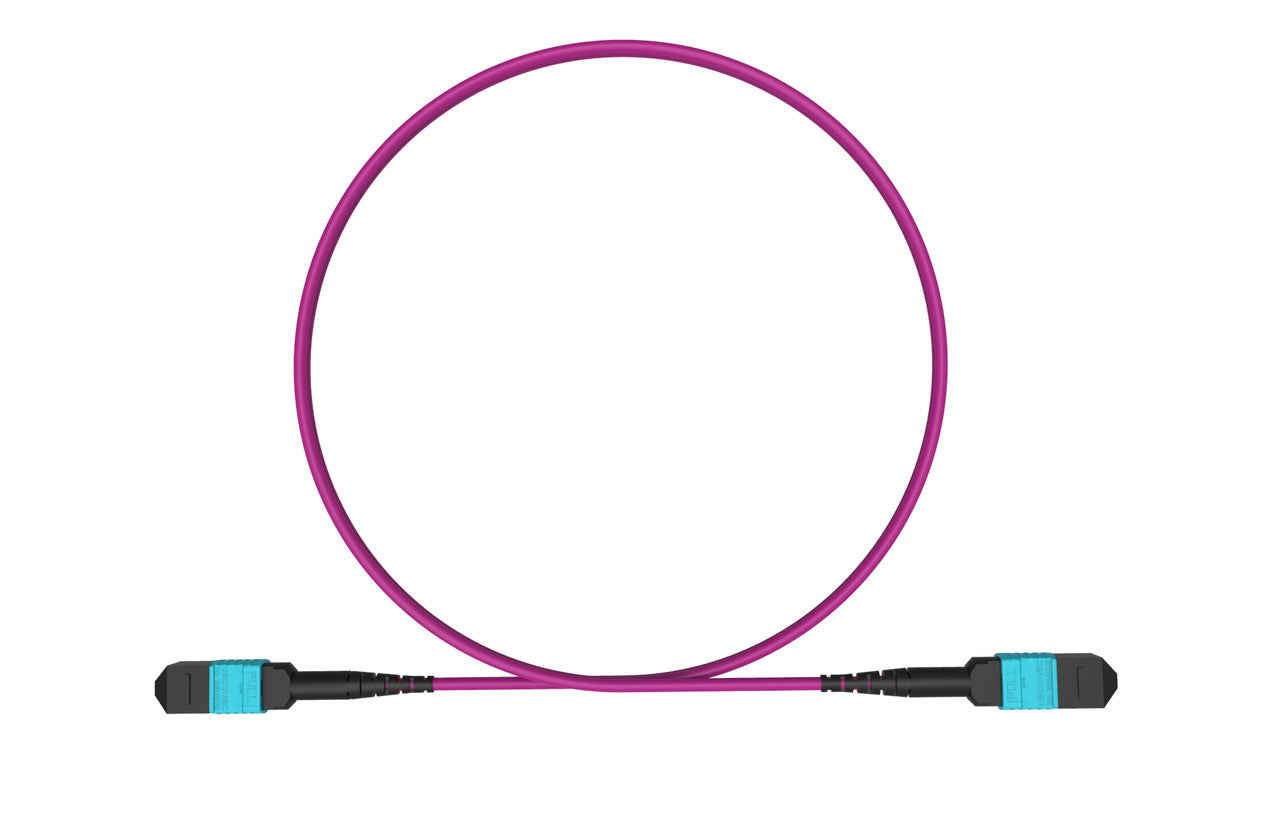 MPO female to MPO female fiber optic patch cord cable, 12 strands, Elite Low IL, OM4, 5m length, B polarity