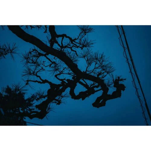 Sigma 17-40mm f/1.8 DC Art Lens