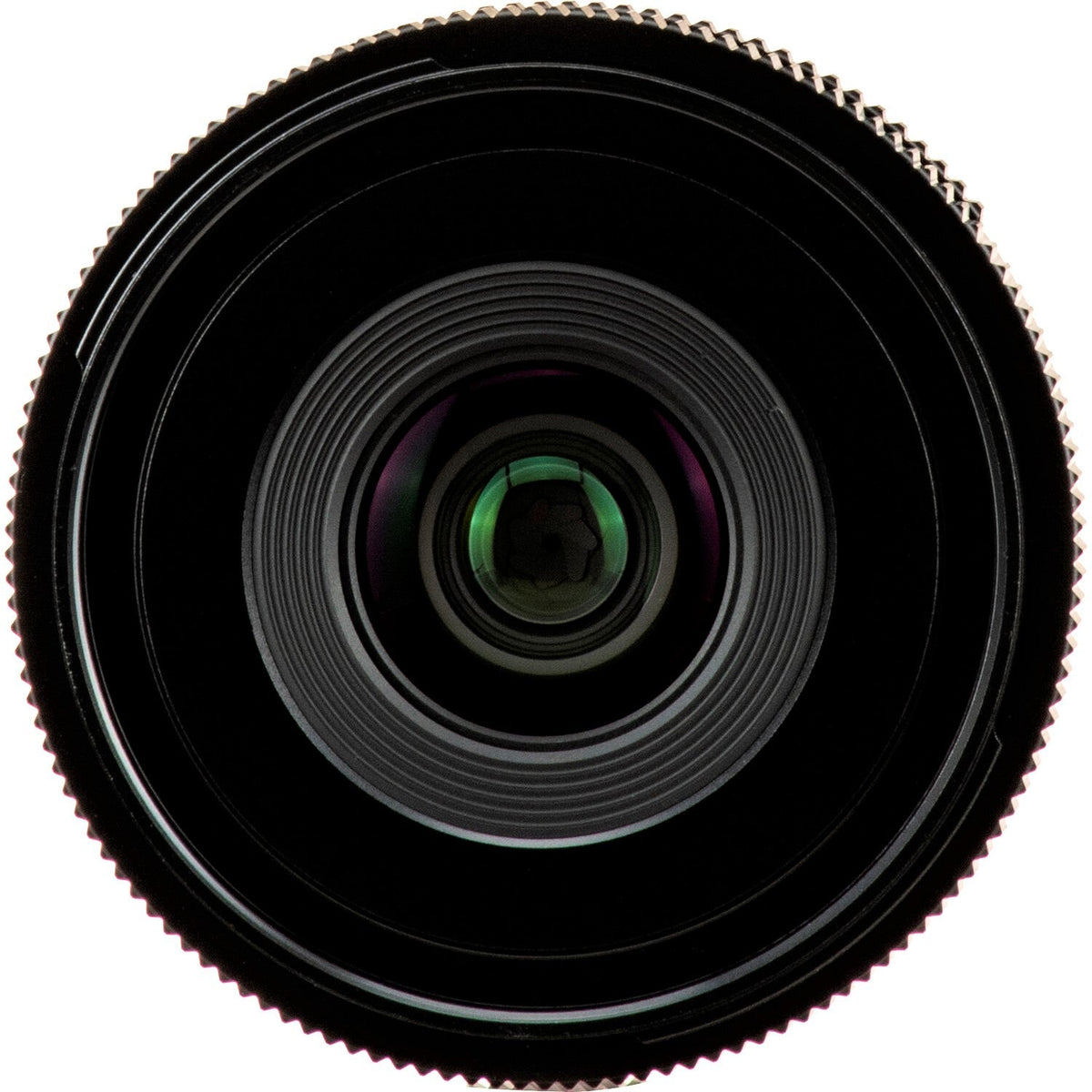 Sigma 24mm F3.5 DG DN Contemporary Lens (Leica L Mount)