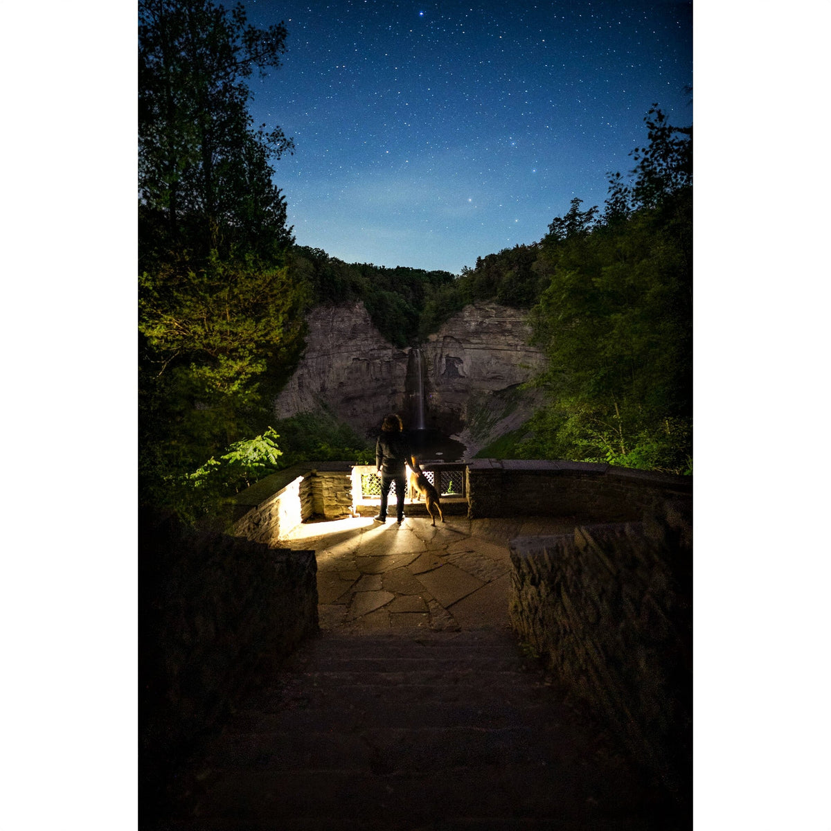 Sigma 20mm F1.4 DG DN Art Lens (Leica L Mount)
