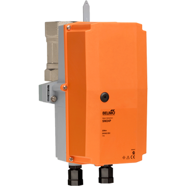 B253+ARX24-3-T N4 | Belimo Characterized Control Valve 2 Inch Cv 120 24VACDC Floating NEMA 4X
