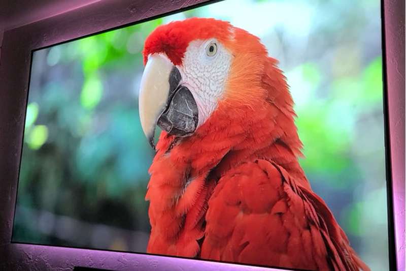 Elite Screens Aeon CLR 3 Series 123 Inch Diagonal Fixed Frame Screen