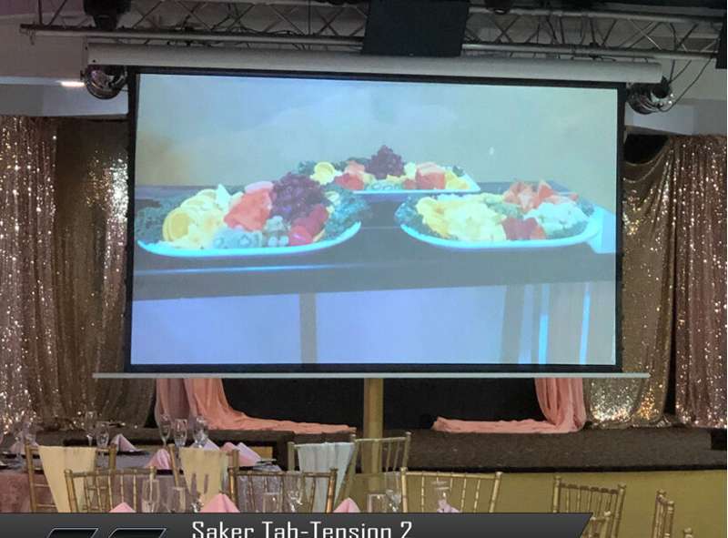 Elite Screens Saker Tab-Tension 2 Series, 165-inch Diag. 16:9 Electric Screen, CineWhite Material