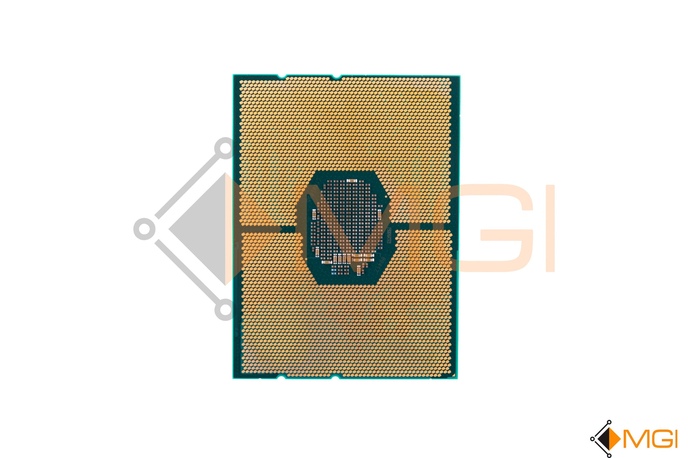 GOLD 6254 // SRF92