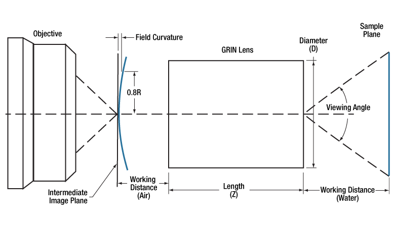 T-G1P10 - GRIN Lens for Imaging, Ø1.0 mm, L = 3.758 mm, WD = 0.20 mm (Water and Dry), NA = 0.5, Uncoated