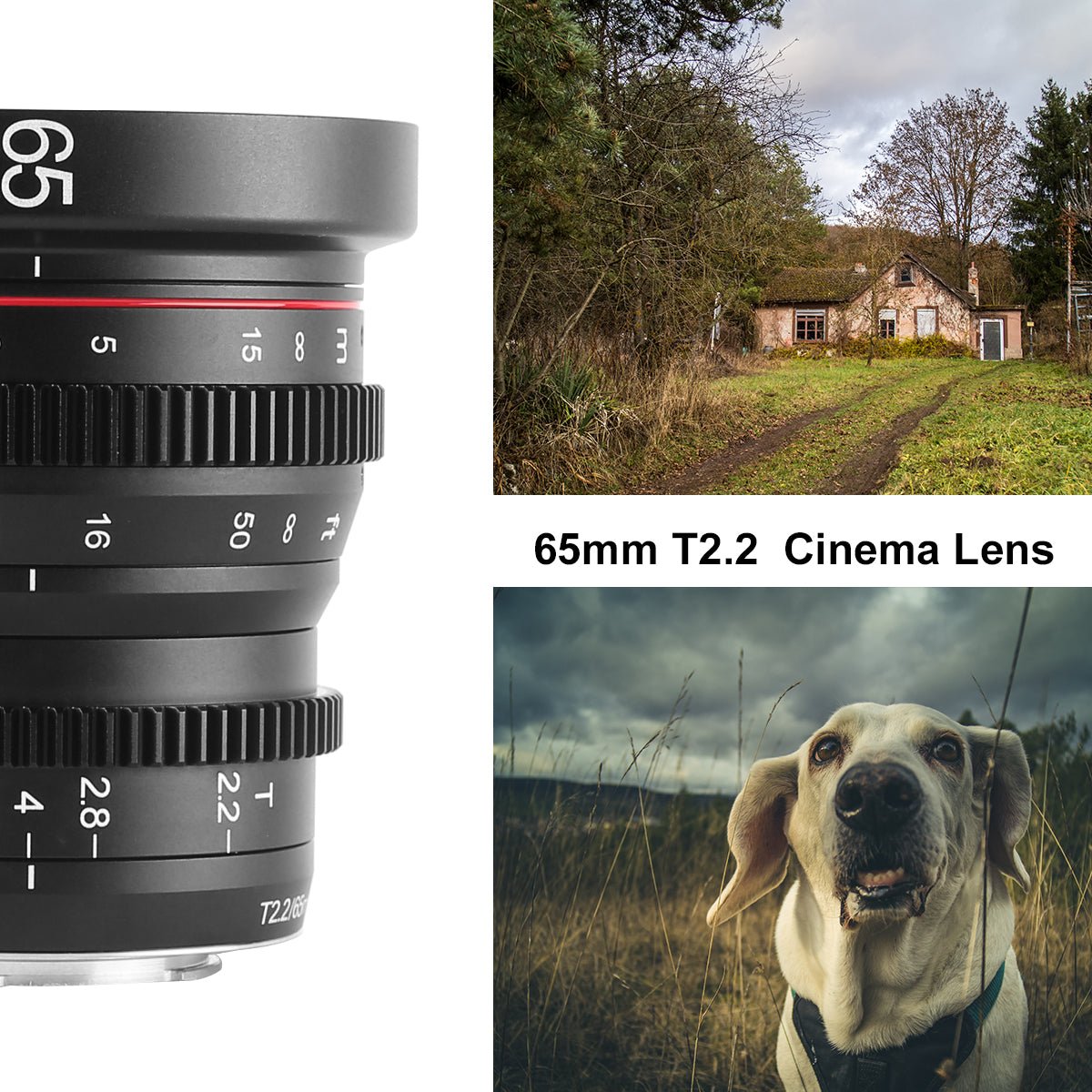 Meike Cinema Prime 65mm T2.2 Lens (Sony E Mount)