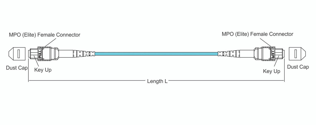 MPO female to MPO female fiber optic patch cord cable, 12 strands, Elite Low IL, OM3, 2m length, B polarity