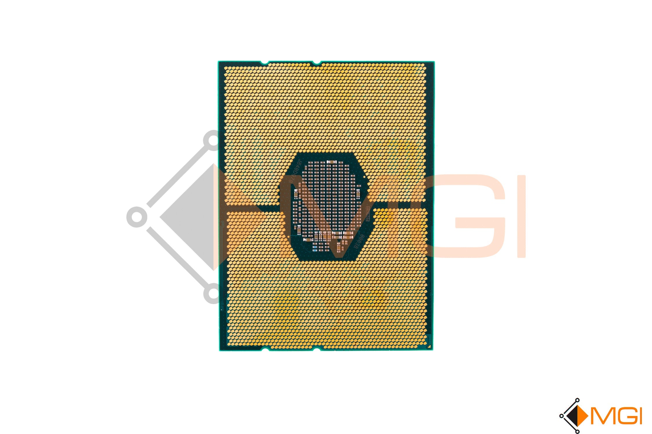 GOLD 6144 // SR3TR