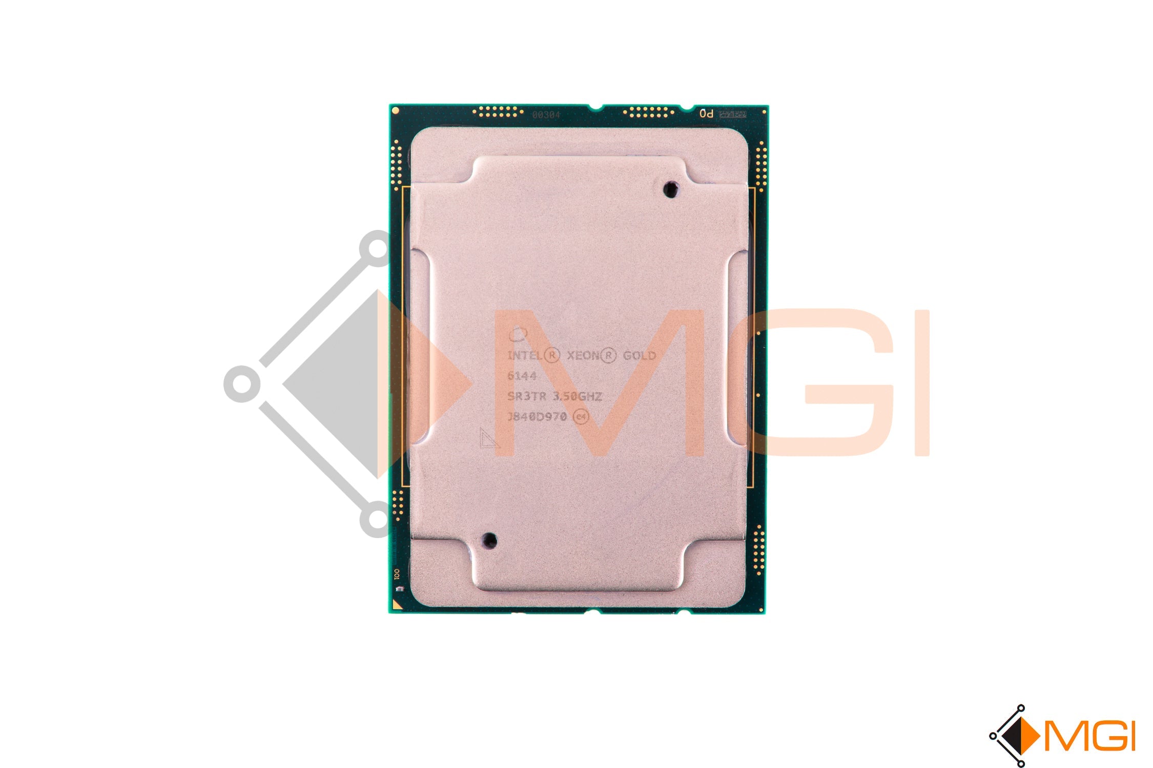 GOLD 6144 // SR3TR