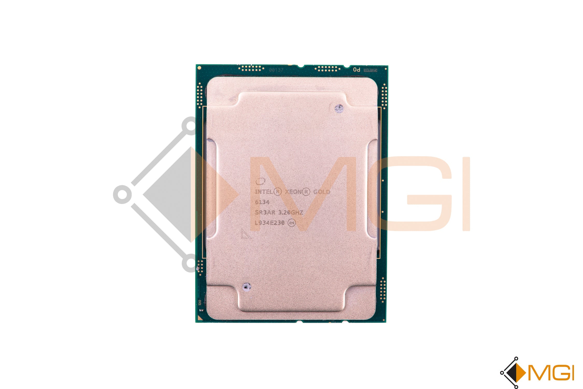 GOLD 6134 // SR3AR