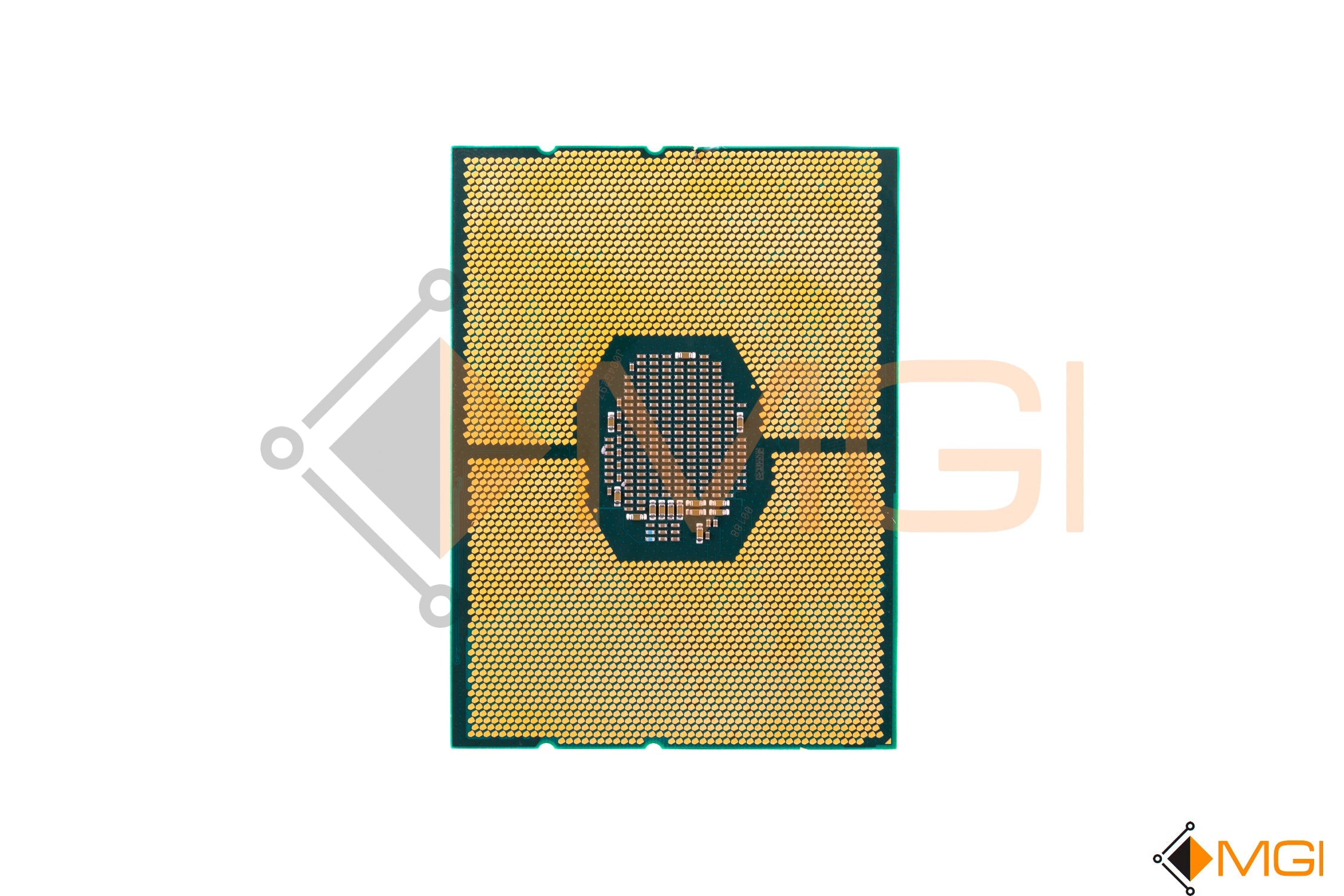 GOLD 6248 // SRF90 (DAMAGED)