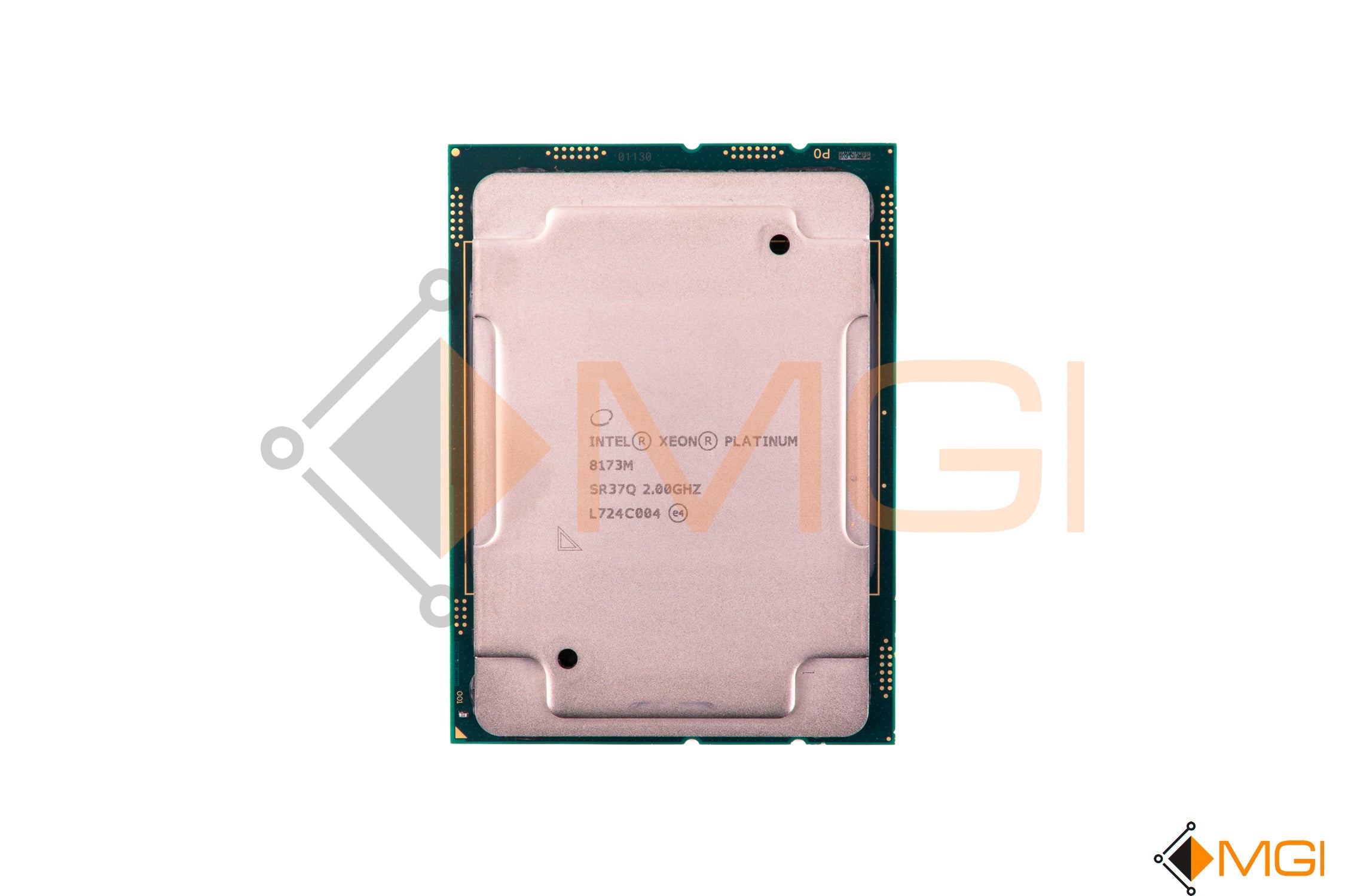 PLATINUM 8173M // SR37Q
