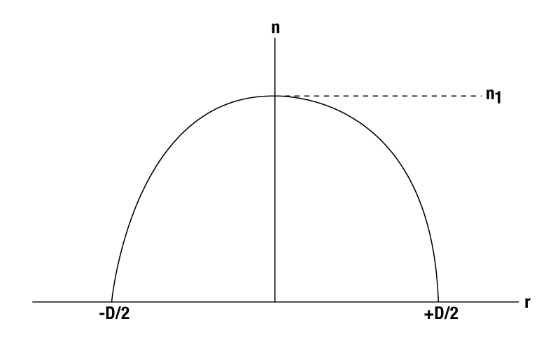 T-G1P10 - GRIN Lens for Imaging, Ø1.0 mm, L = 3.758 mm, WD = 0.20 mm (Water and Dry), NA = 0.5, Uncoated