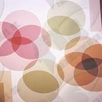 Seikoh Giken 1um Polishing Film Final Aluminum Oxide