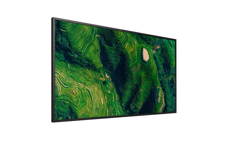 Sony BRAVIA 65" 4K HDR Enhanced Professional Display (FW65BZ35P)
