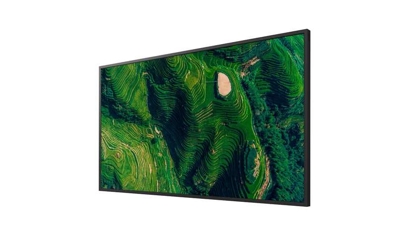 Sony BRAVIA 65" 4K HDR Enhanced Professional Display (FW65BZ35P)