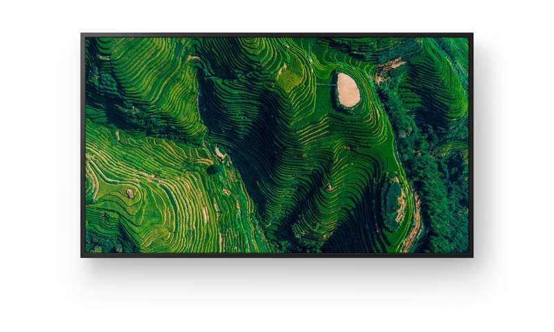 Sony BRAVIA 85" 4K HDR Enhanced Professional Display (FW85BZ35P)