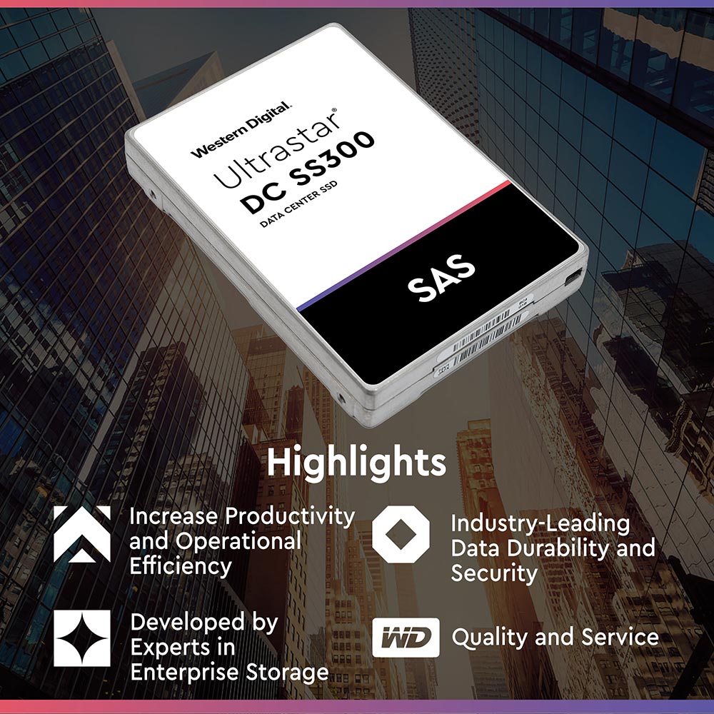 Western Digital Ultrastar DC SS300 HUSMM3280ASS200 800GB SAS 12Gb/s High Endurance ISE 2.5in Solid State Drive