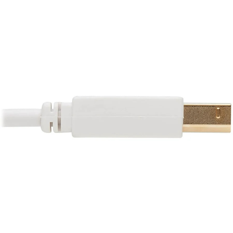 Eaton Tripp Lite Series Safe-IT USB 2.0 A to B Antibacterial Cable (M/M), White, 6 ft. (1.83 m)