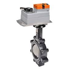 Belimo F6100HD+DKRX24-MFT-T Butterfly Control Valve with Fail-Safe Actuator