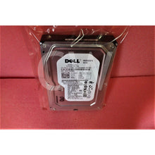 Carregar imagem no visualizador da galeria, Dell H962F 0H962F 250GB 7.2K RPM 3Gb/s 16MB 3.5" SATA Hard Drive WD2502ABYS-FoxTI
