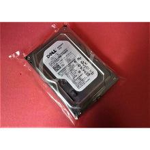 Carregar imagem no visualizador da galeria, Dell H962F 0H962F 250GB 7.2K RPM 3Gb/s 16MB 3.5" SATA Hard Drive WD2502ABYS-FoxTI
