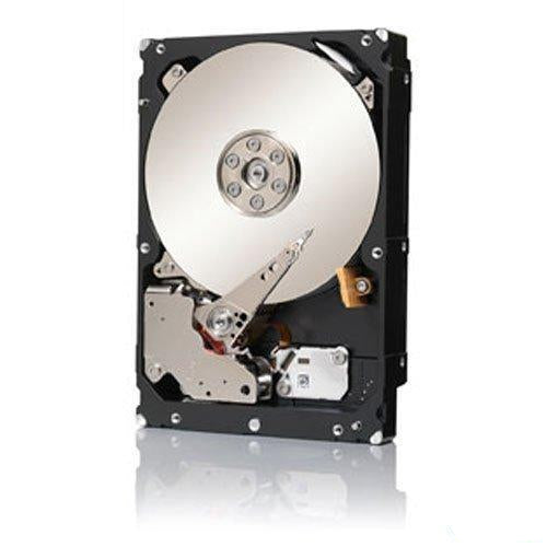 Seagate ST32000645SS 2TB 7.2K 6Gb/s SAS 3.5